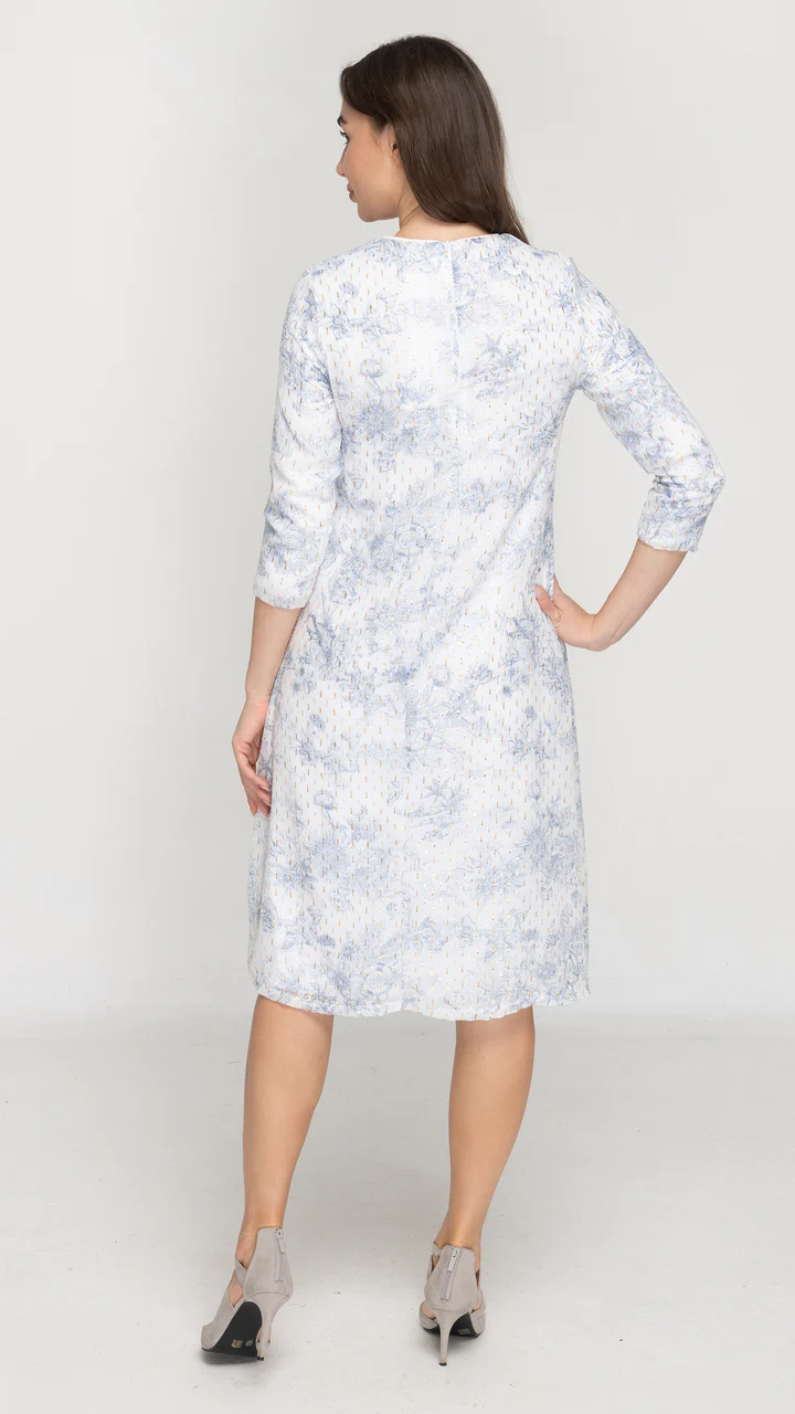 Blue Toile Dress